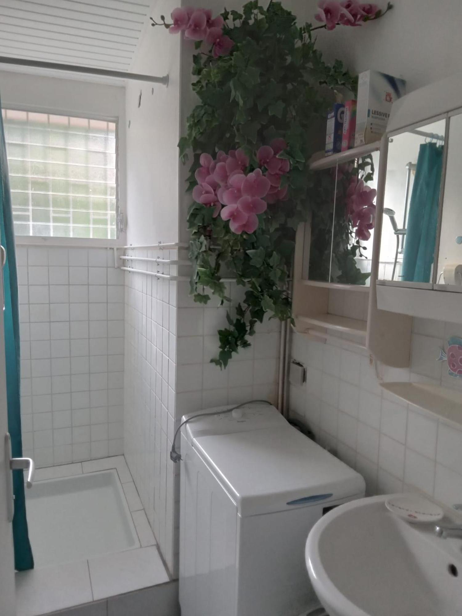 شقة Les Orchidees سانت آن المظهر الخارجي الصورة